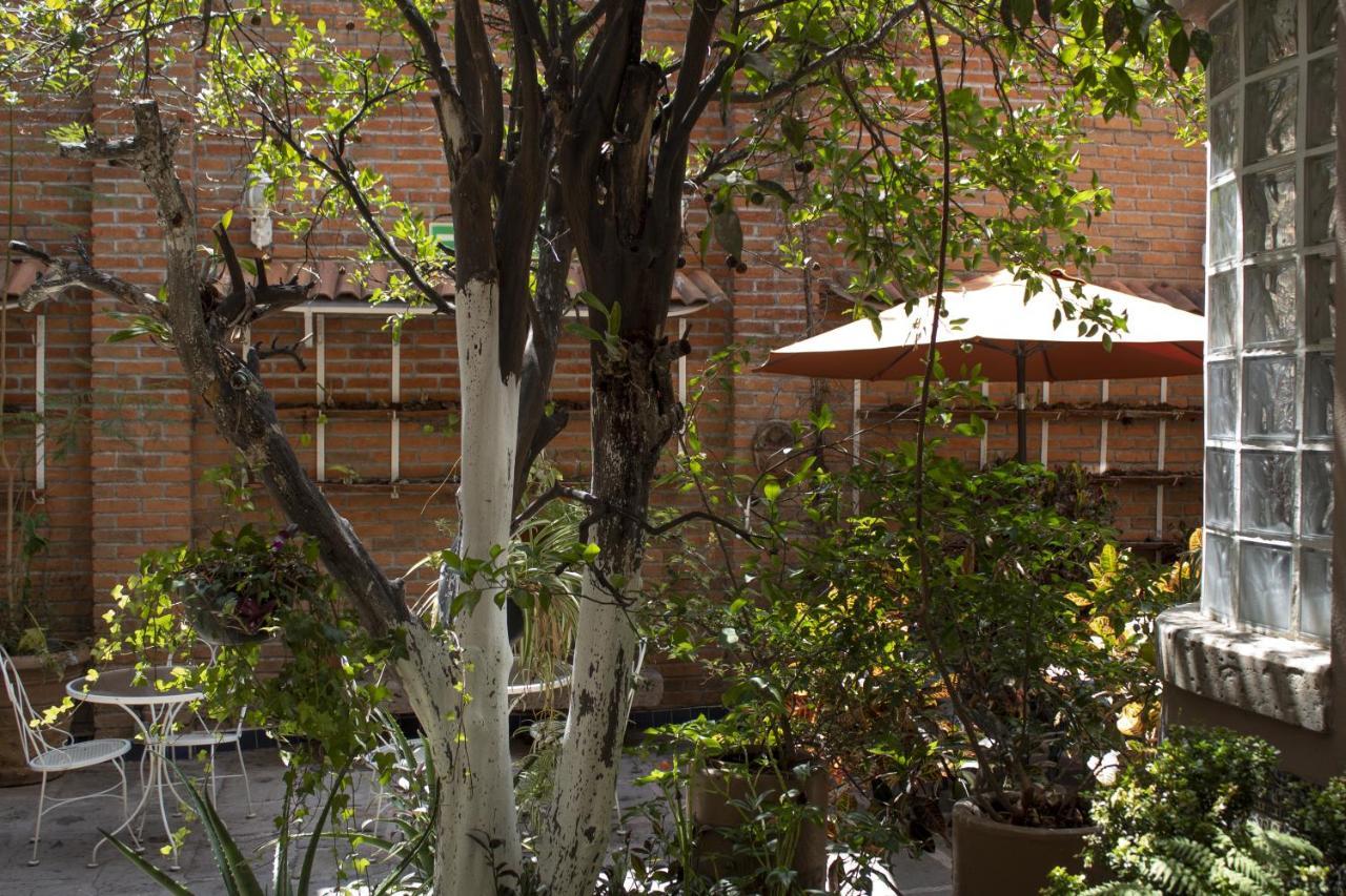 Отель Mansion Mijashe Wellness & Travel House Морелия Экстерьер фото